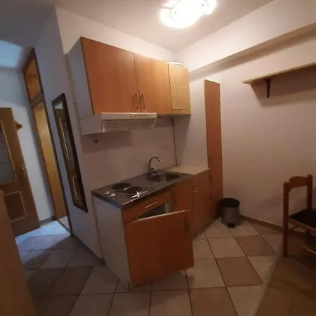 Vidic Apartment