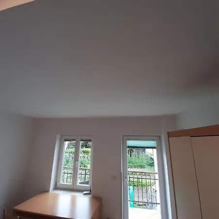 Apartment Vidic *