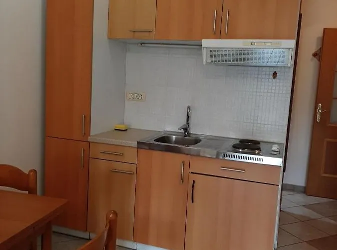 Vidic 公寓 科佩尔